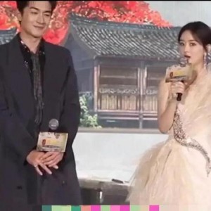 娱乐爆料吃瓜八卦图高清,高清八卦图背后的惊人真相