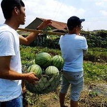吃瓜论坛骄阳似火,吃瓜论坛热议夏季热点事件