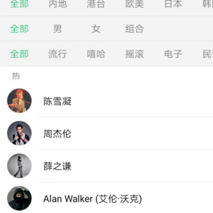 娱乐吃瓜音乐是什么软件,揭秘热门音乐软件背后的故事