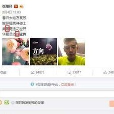 吃瓜娱乐网,揭秘娱乐圈最新热点，带你领略明星幕后故事