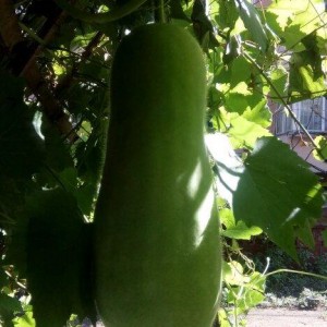 专业娱乐吃瓜,揭秘明星幕后那些事儿