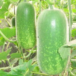 吃瓜网每日大赛聚集地,每日大赛聚集地，精彩赛事一网打尽！