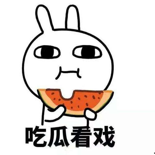 娱乐吃瓜酱语录大全集